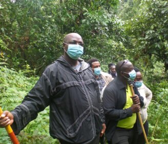 Gorilla Trekking Experience